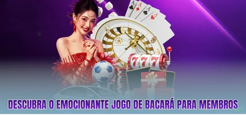 3537: Entre no Mundo Mágico das Cartas e Transforme Seu Jogo